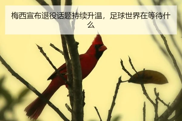 梅西宣布退役话题持续升温，足球世界在等待什么