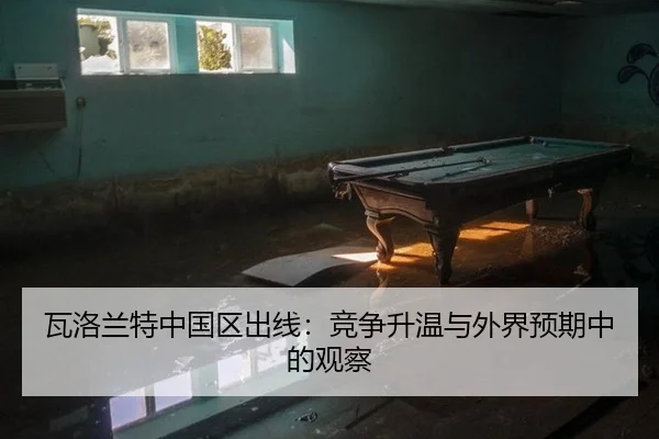 wa-luo-lan-te-zhong-guo-qu-chu-xian-jing-zheng-sheng-wen-yu-wai-jie-yu-qi-zhong-de-guan-cha-2-103.jpg