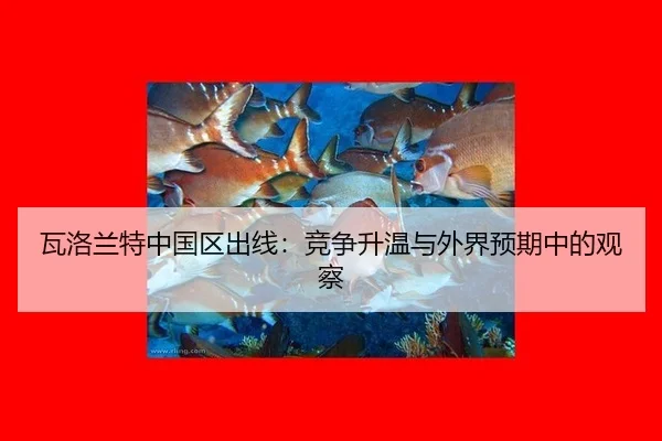 瓦洛兰特中国区出线：竞争升温与外界预期中的观察